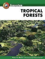 bokomslag Tropical Forests