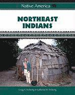 bokomslag Northeast Indians