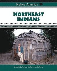 bokomslag Northeast Indians