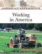 bokomslag Working in America