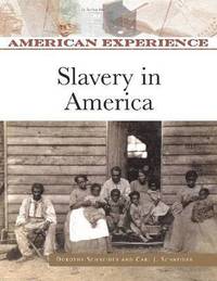 bokomslag Slavery in America