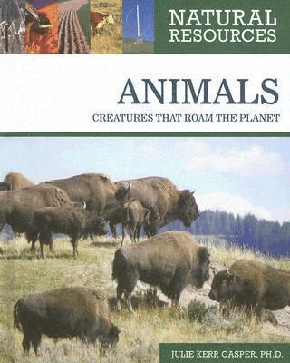 bokomslag Animals