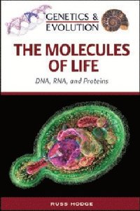 bokomslag Molecules of Life