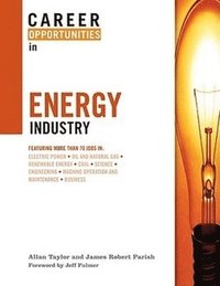 bokomslag Career Opportunities in the Energy Industry