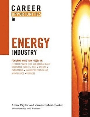 bokomslag Career Opportunities in the Energy Industry