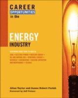 bokomslag Career Opportunities in the Energy Industry