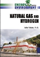 bokomslag Natural Gas and Hydrogen