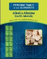 bokomslag ALKALI AND ALKALINE EARTH METALS