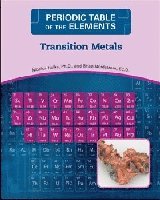 bokomslag Transition Metals