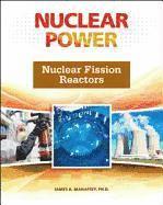 bokomslag Nuclear Fission Reactors (Nuclear Power)