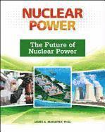 bokomslag Future of Nuclear Power (Nuclear Power (Facts on File))
