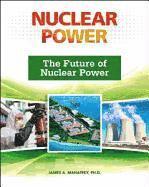 bokomslag The Future of Nuclear Power (Nuclear Power (Facts on File))
