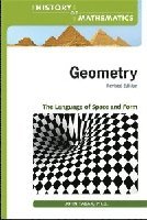 bokomslag Geometry