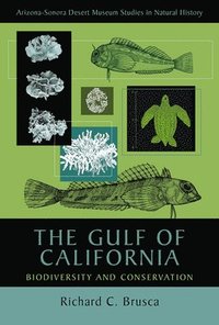 bokomslag The Gulf of California