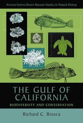 The Gulf of California 1