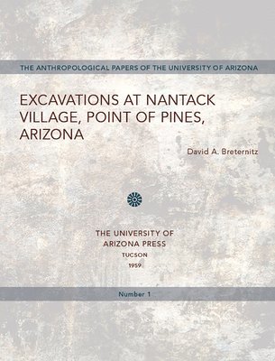 bokomslag Excavations at Nantack Village, Point of Pines, Arizona