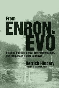 bokomslag From Enron to Evo
