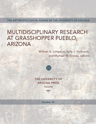 bokomslag Multidisciplinary Research at Grasshopper Pueblo, Arizona