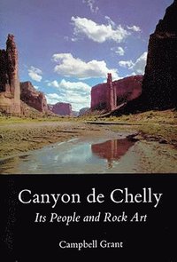 bokomslag Canyon De Chelly