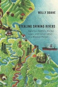 bokomslag Stealing Shining Rivers