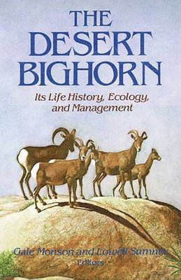 bokomslag The Desert Bighorn
