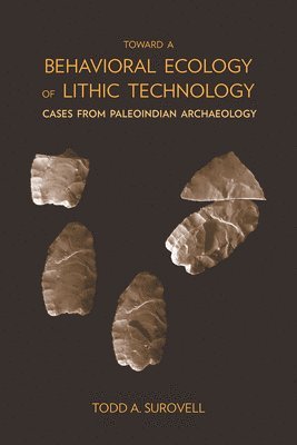 Toward a Behavioral Ecology of Lithic Technology 1