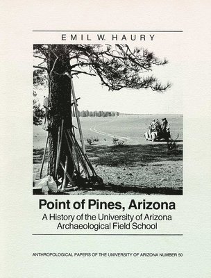 Point of Pines 1