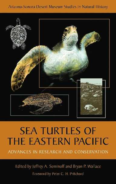 bokomslag Sea Turtles of the Eastern Pacific