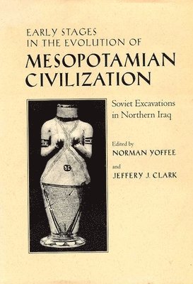 bokomslag Early Stages in the Evolution of Mesopotamian Civilization