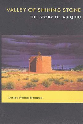 Lesley Poling-Kempes - Valley of Shining Stone, Häftad