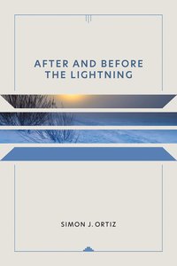 bokomslag After and Before the Lightning