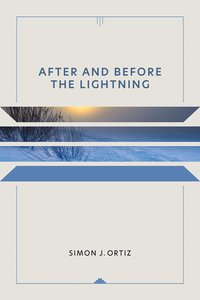 bokomslag After and before the Lightning