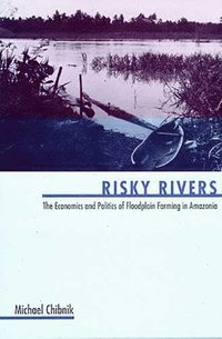 bokomslag Risky Rivers