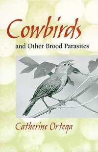 bokomslag COWBIRDS AND OTHER BROOD PARASITES
