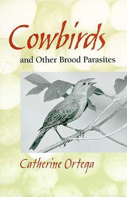 COWBIRDS AND OTHER BROOD PARASITES 1