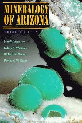 bokomslag Mineralogy of Arizona