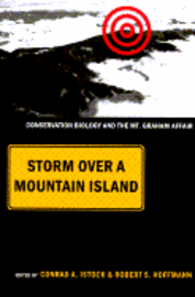 Storm over a Mountain Island 1