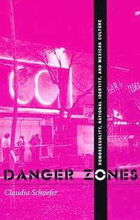 bokomslag Danger Zones