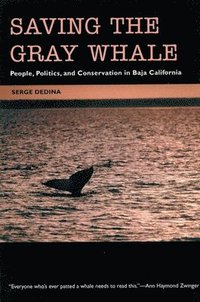 bokomslag SAVING THE GRAY WHALE