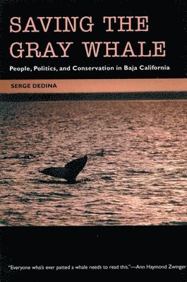 bokomslag SAVING THE GRAY WHALE