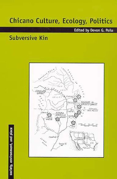 bokomslag Chicano Culture, Ecology, Politics