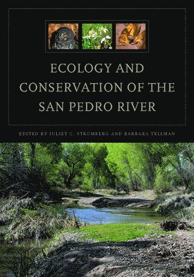 Ecology and Conservation of the San Pedro River 1