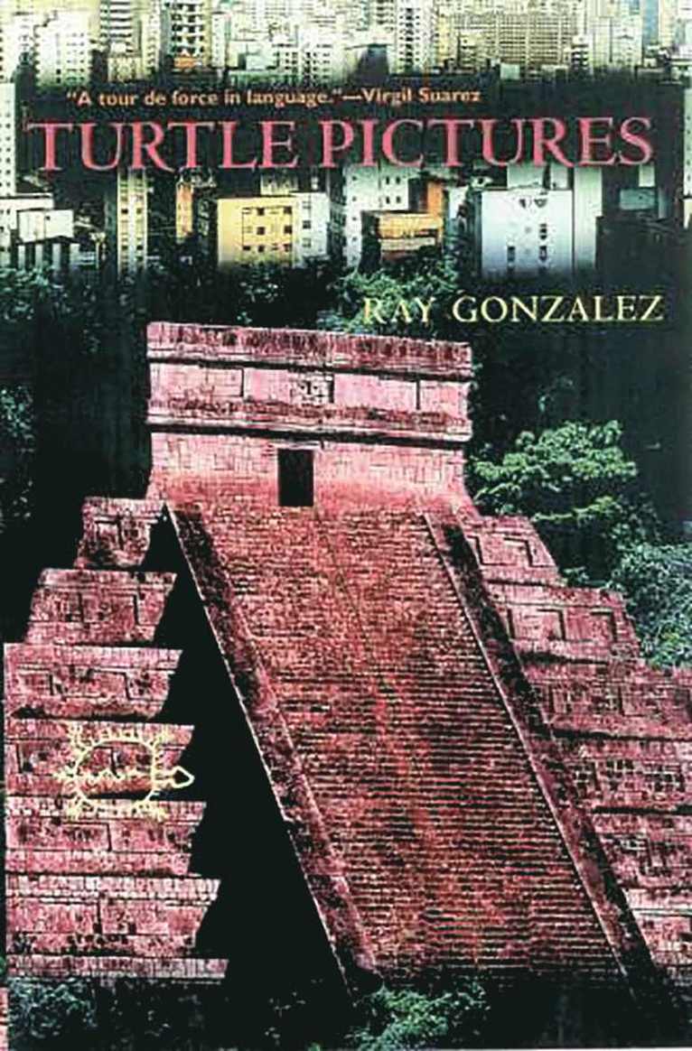 Ray Gonzalez - Turtle Pictures, Häftad