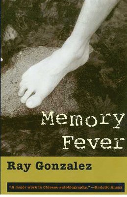 bokomslag Memory Fever