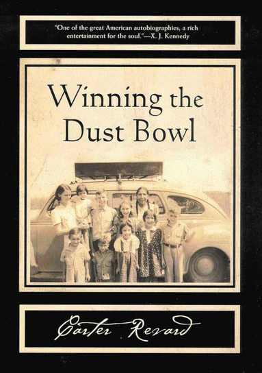 bokomslag WINNING THE DUST BOWL