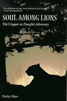 Soul Among Lions 1