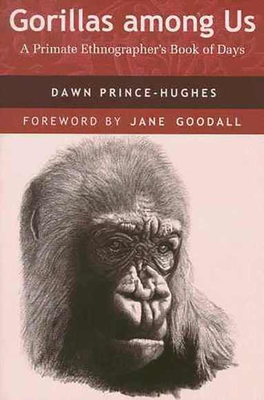 bokomslag Gorillas Among Us