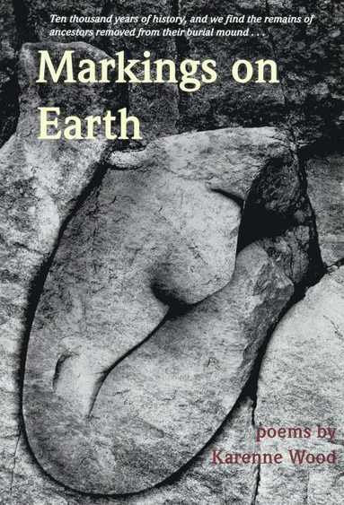 bokomslag Markings on Earth