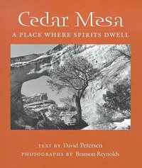bokomslag Cedar Mesa