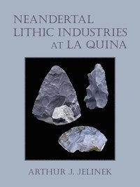 bokomslag Neandertal Lithic Industries at La Quina